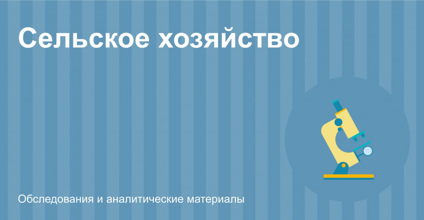 Уборка урожая в хозяйствах всех категорий Республики Марий Эл на 1 сентября 2022 г.